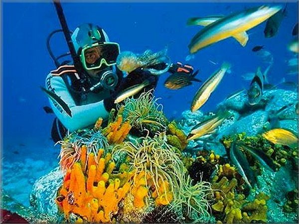 Marmaris Scuba Diving